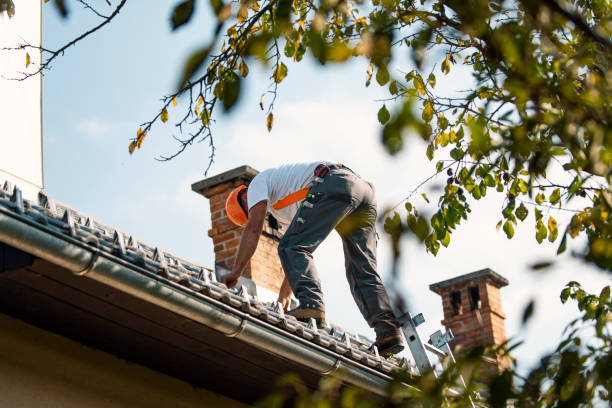Roof Gutter Cleaning in Sublette, KS